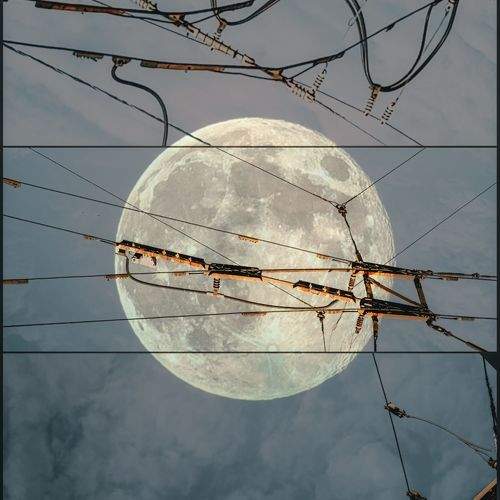 Photo #10901049