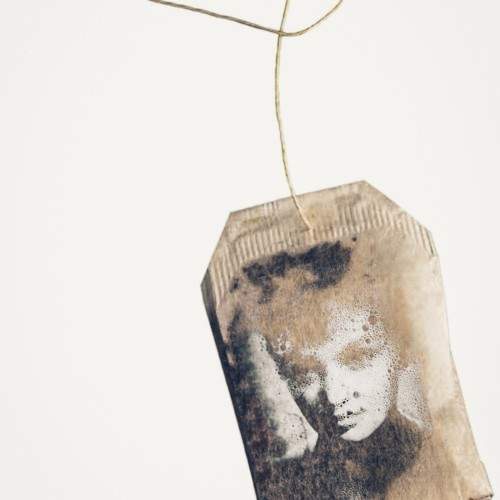 Photo #10901054