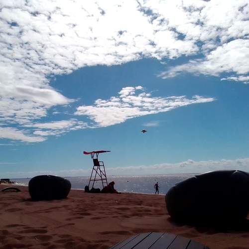 Photo #10901289