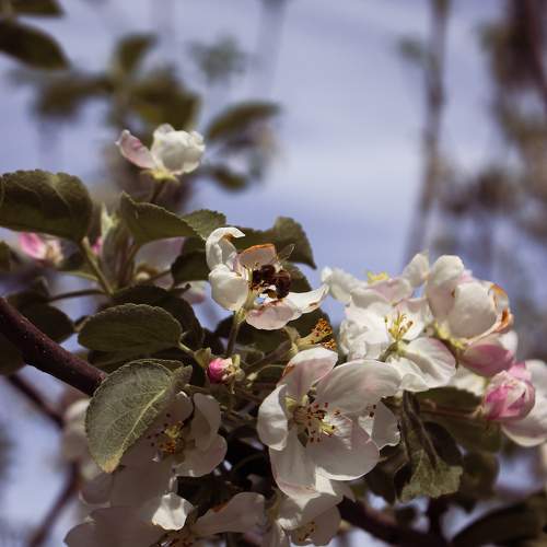 Photo #10901290