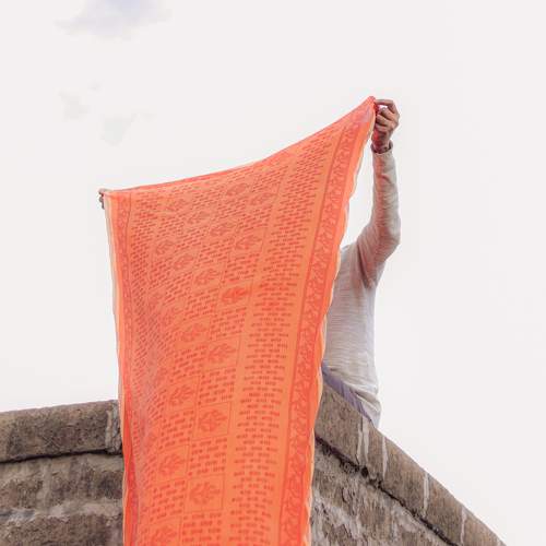 Photo #10901897