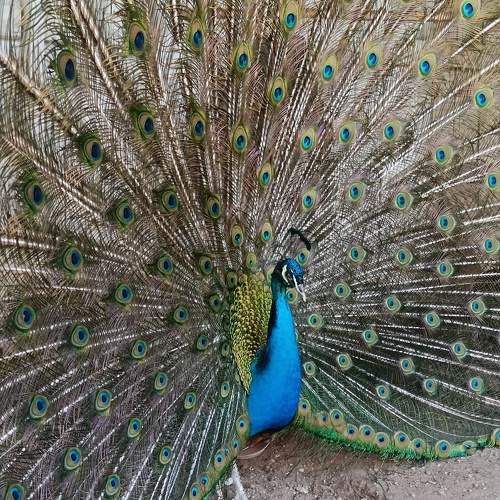 Photo #10901910