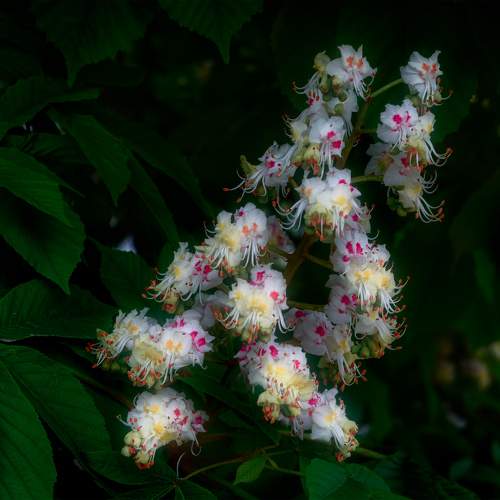 Photo #10901992