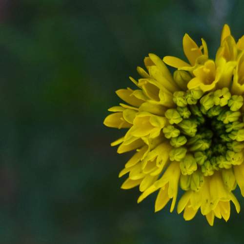 Photo #10902034