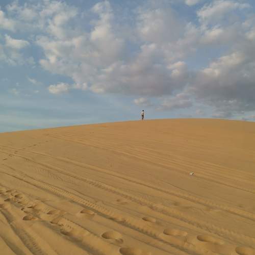 Photo #10902273