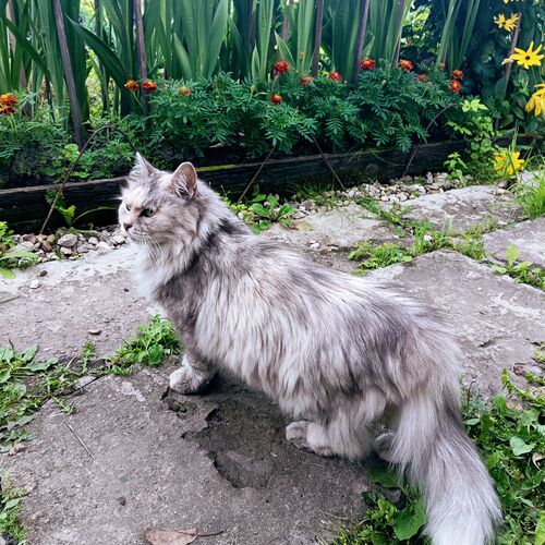 Photo #10902416