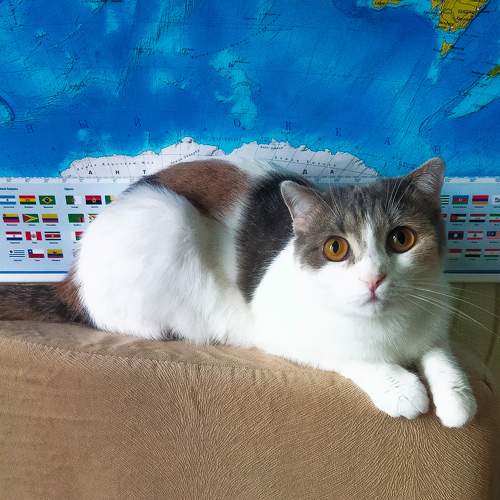 Photo #10902656