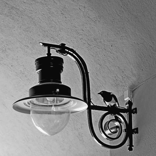 Фотография #10902839