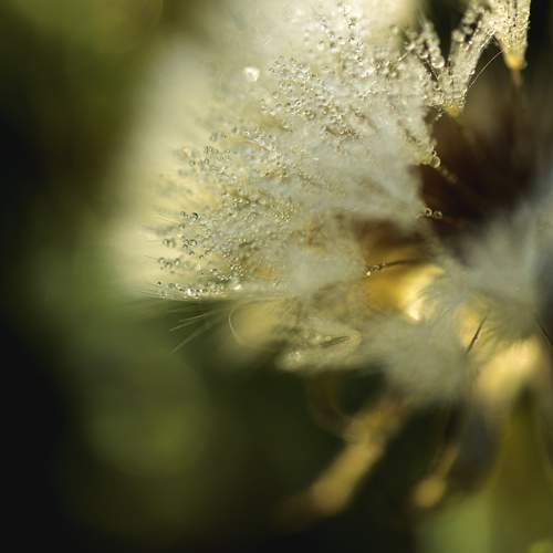Photo #10902893
