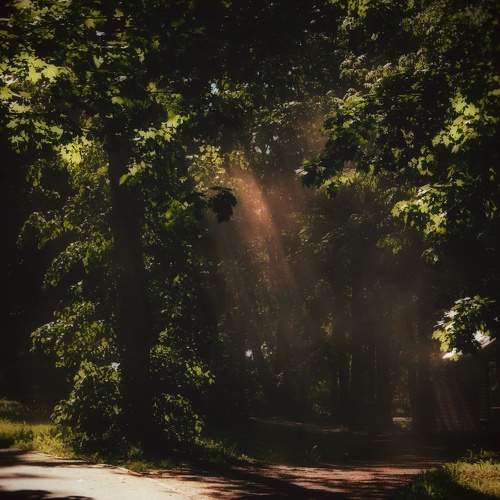 Photo #10903252
