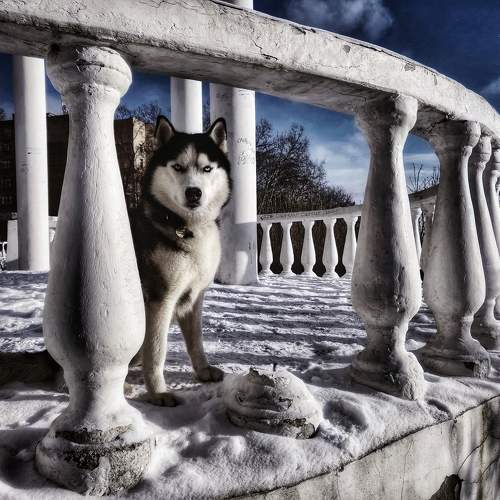Photo #10903560