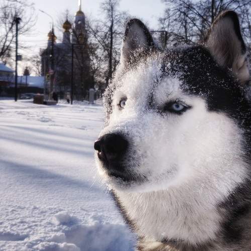 Photo #10903575