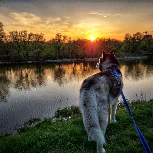 Photo #10903582