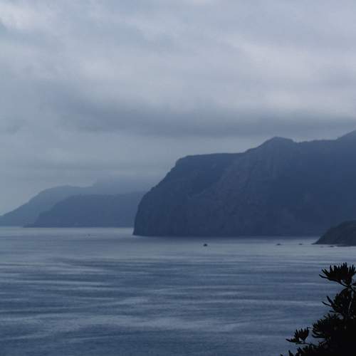 Photo #10903679