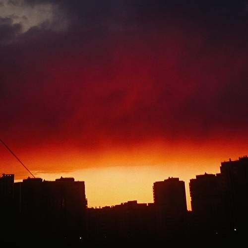 Photo #10903770