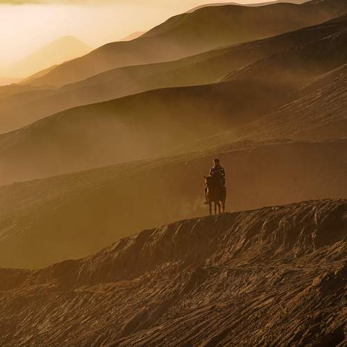 Photo #10904037