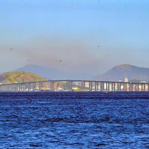 Photo #10904066