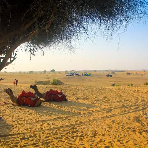 Photo #10904185
