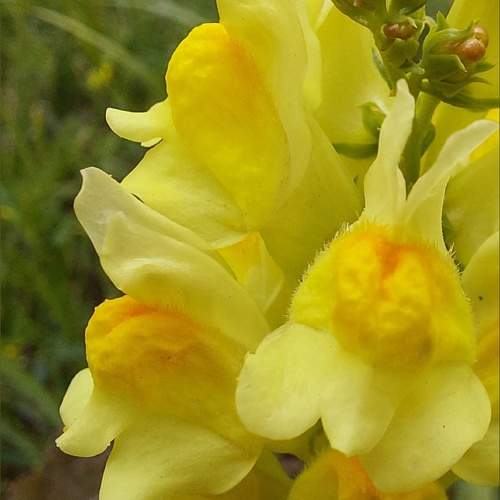 Photo #10904442