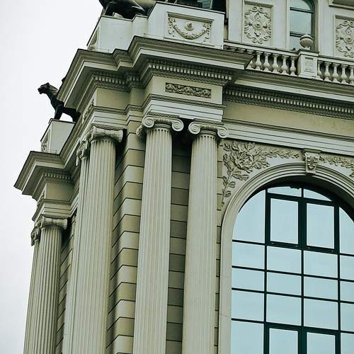 Photo #10904564
