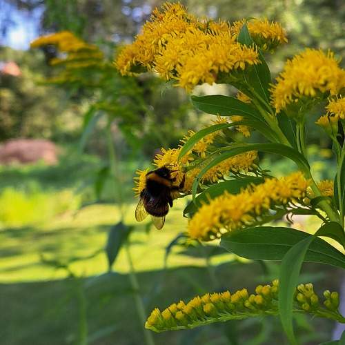 Photo #10904619
