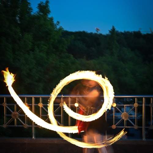 Photo #10904840