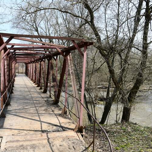 Photo #10905062