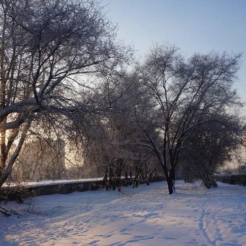 Photo #10905161