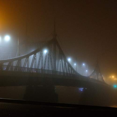 Photo #10905528