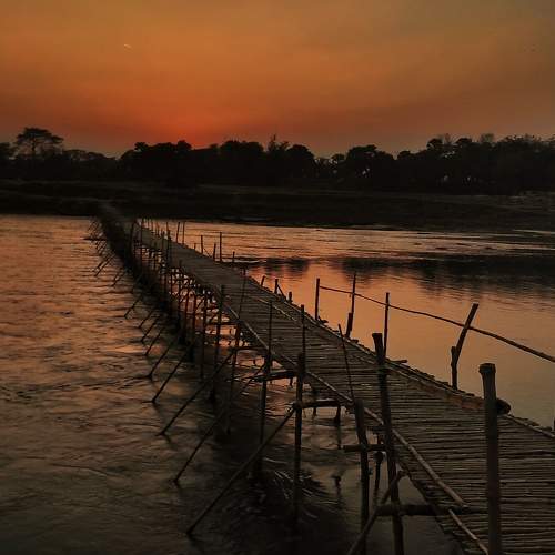 Photo #10905774