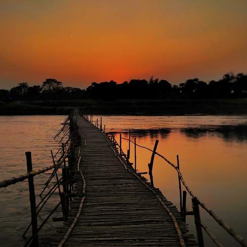 Photo #10905778