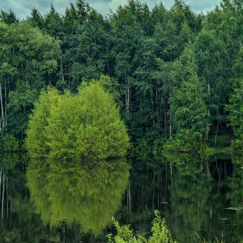 Photo #10906035