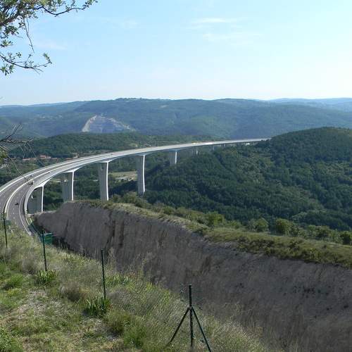Photo #10906460