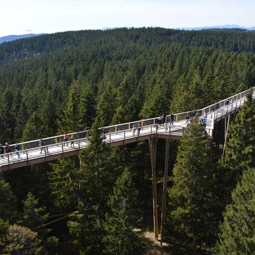 Photo #10906461