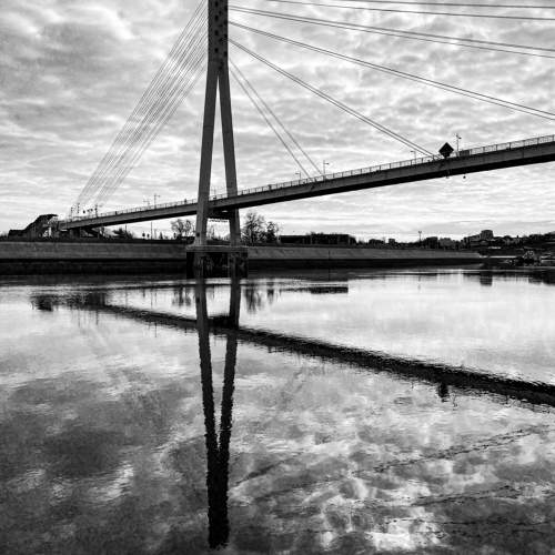 Photo #10906660