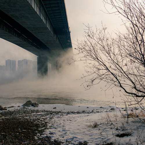Photo #10906722
