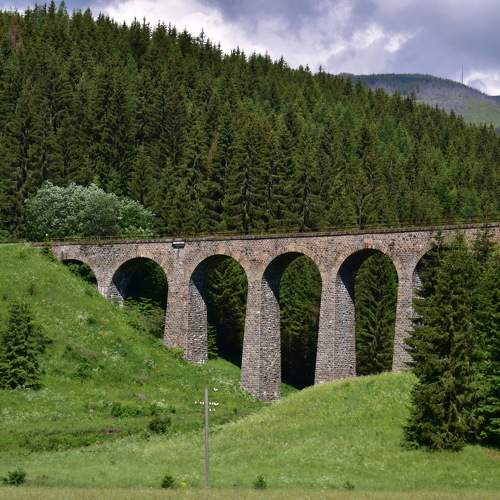 Photo #10906891