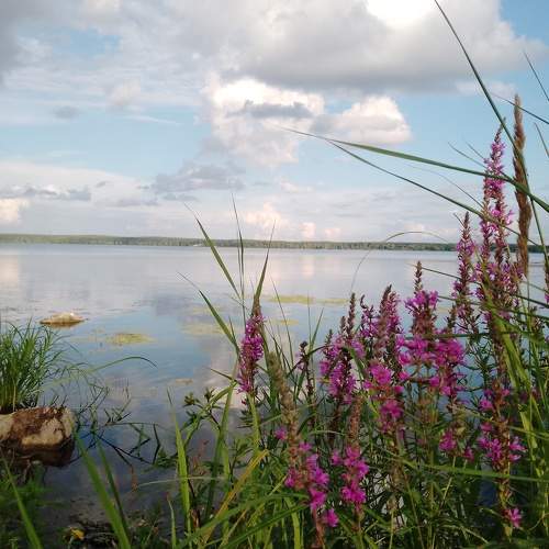Photo #10906984