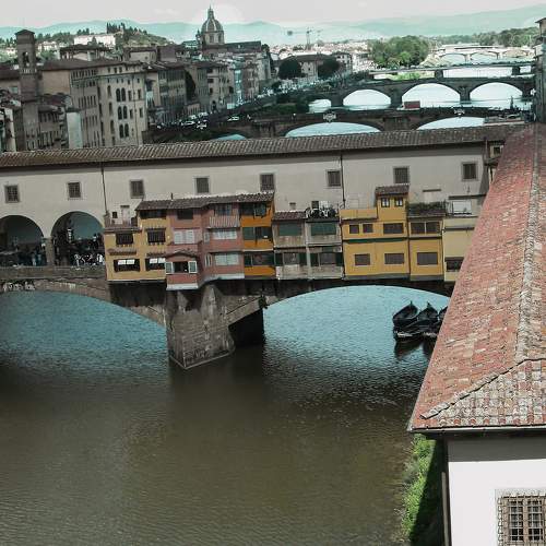 Photo #10907195