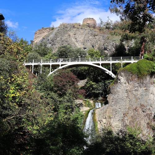 Photo #10907227