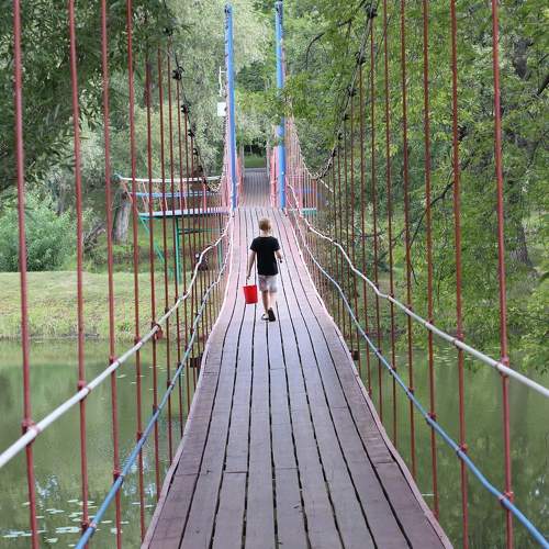 Photo #10907654