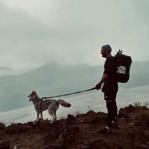 Photo #10908216