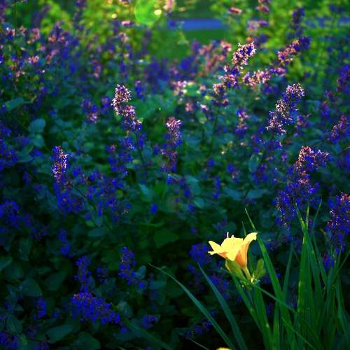 Фотография #10908236