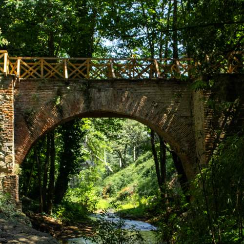 Photo #10908263