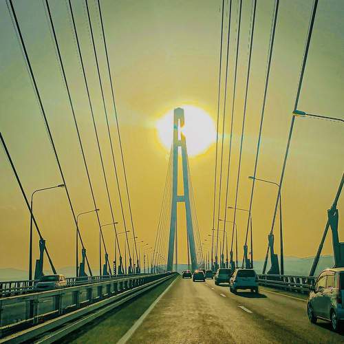 Photo #10908488