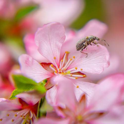 Photo #10908602