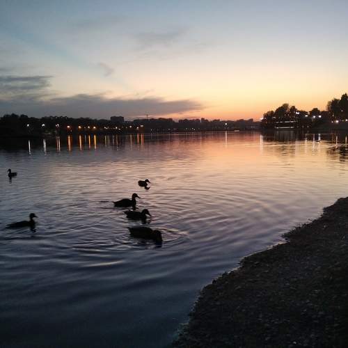 Photo #10908634