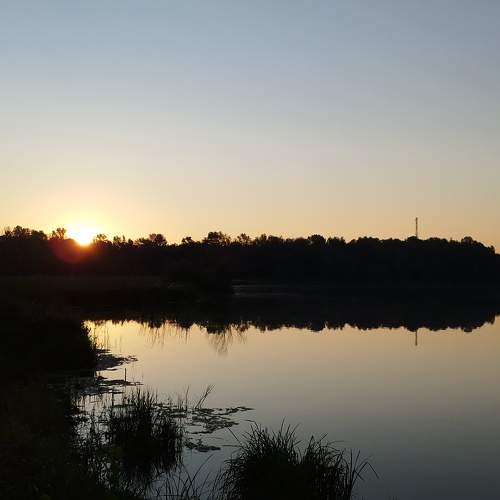 Photo #10908818