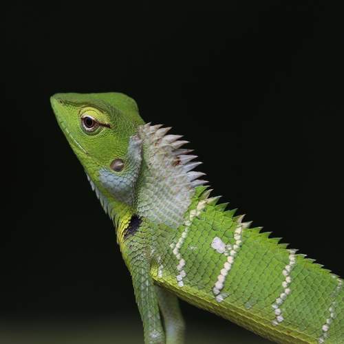 Photo #10908852