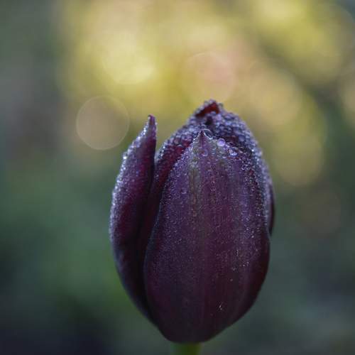 Photo #10908920